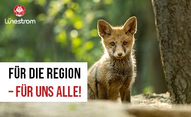 Sitzender junger Fuchs im Wald mit Textüberlagerung: Für die Region - für uns alle!