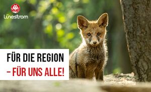 Sitzender junger Fuchs im Wald mit Textüberlagerung: Für die Region - für uns alle!